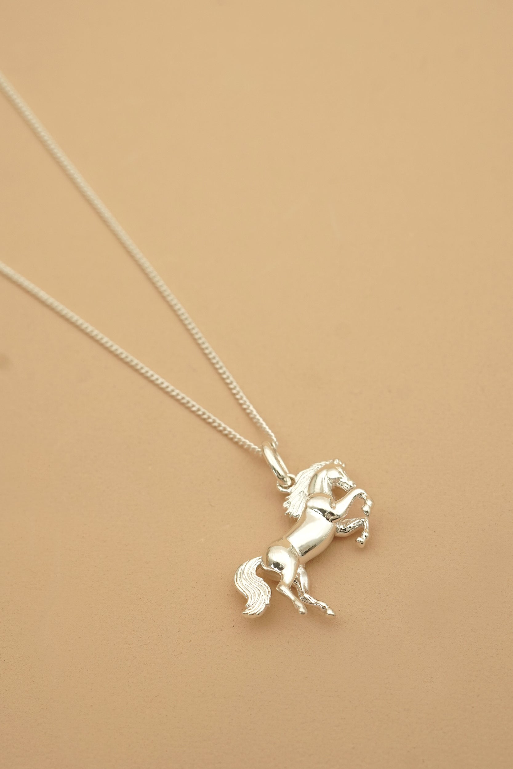 Stand Strong Horse Necklace - Silver