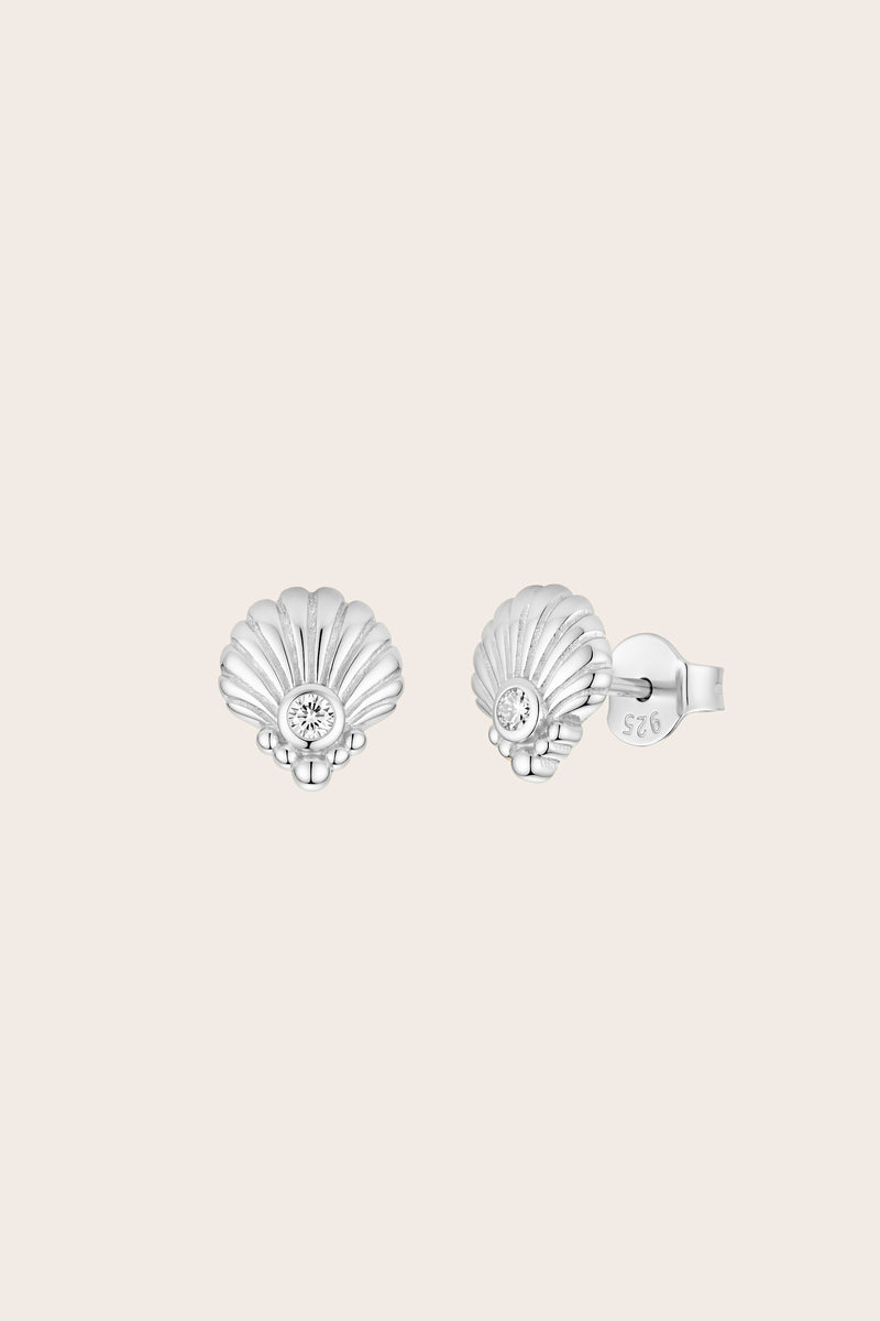 Silver Scallop Shell Studs