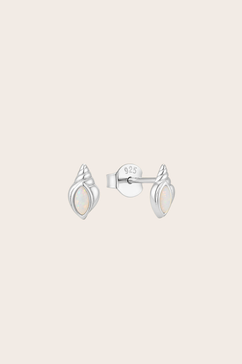 Silver Conch Shell Studs