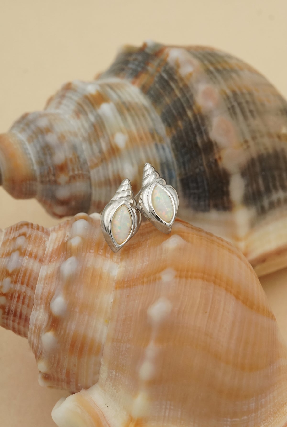 Silver Conch Shell Studs
