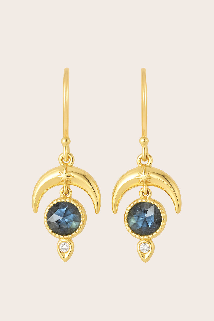 Labradorite Dare to Dream Earrings - Gold
