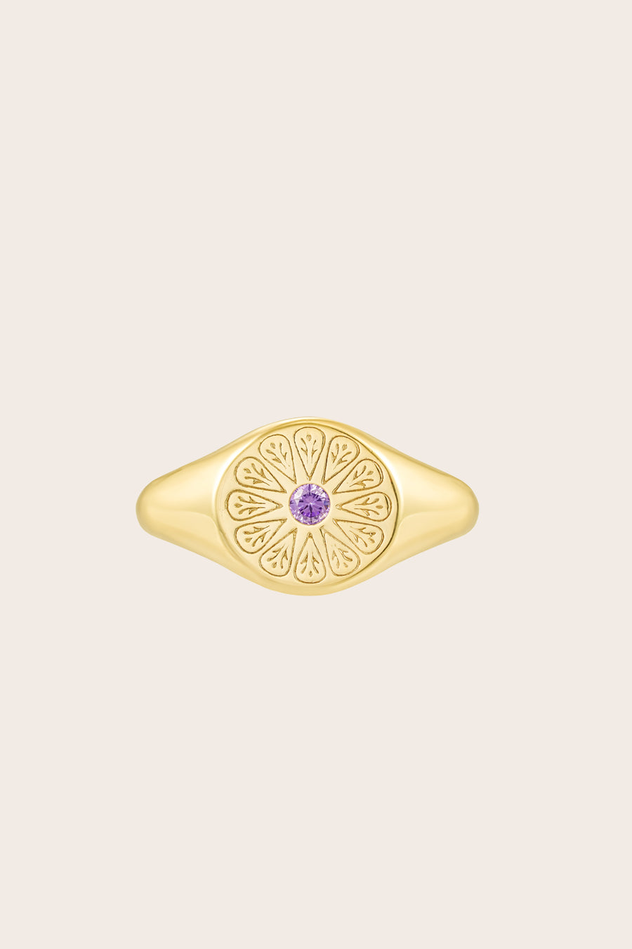 Gold February Amethyst Birthstone Ring on cream background