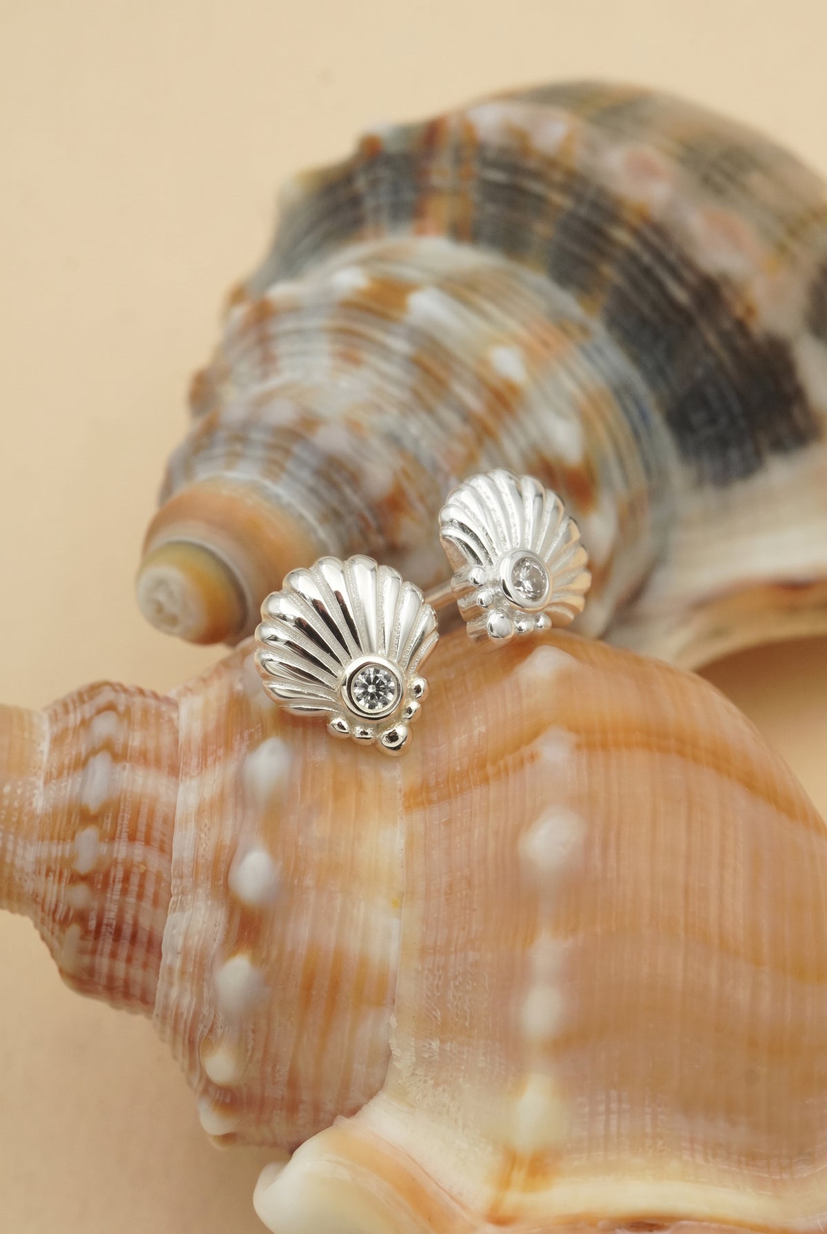 Silver Scallop Shell Studs