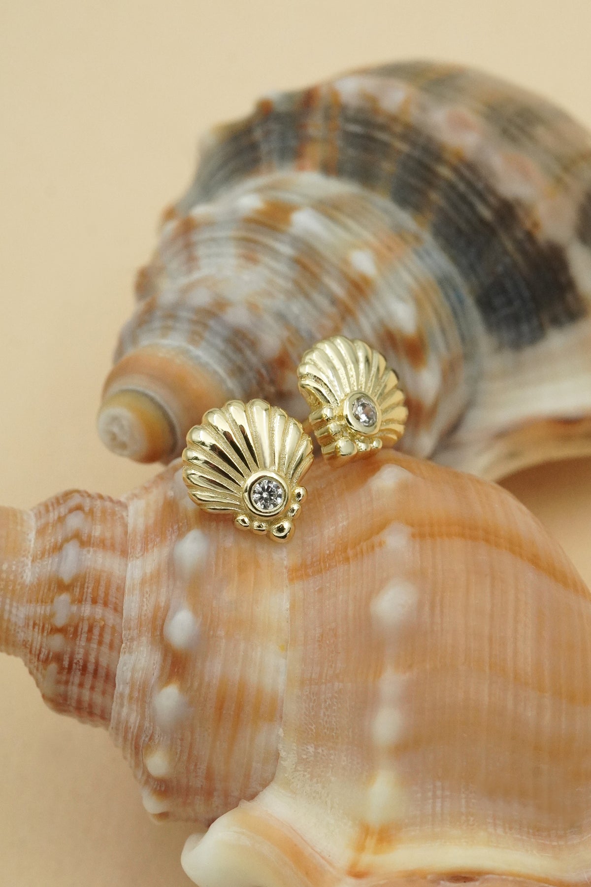 Gold Scallop Shell Studs