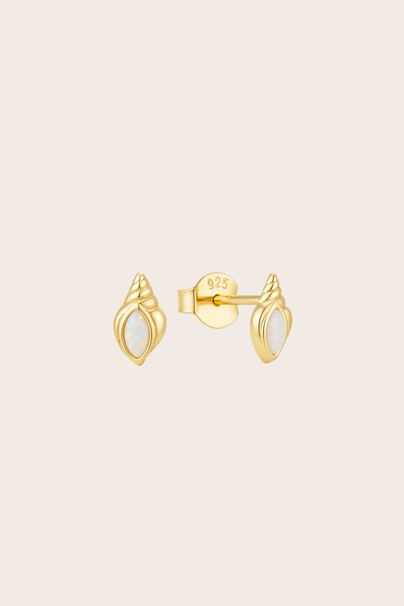 Gold Conch Shell Studs