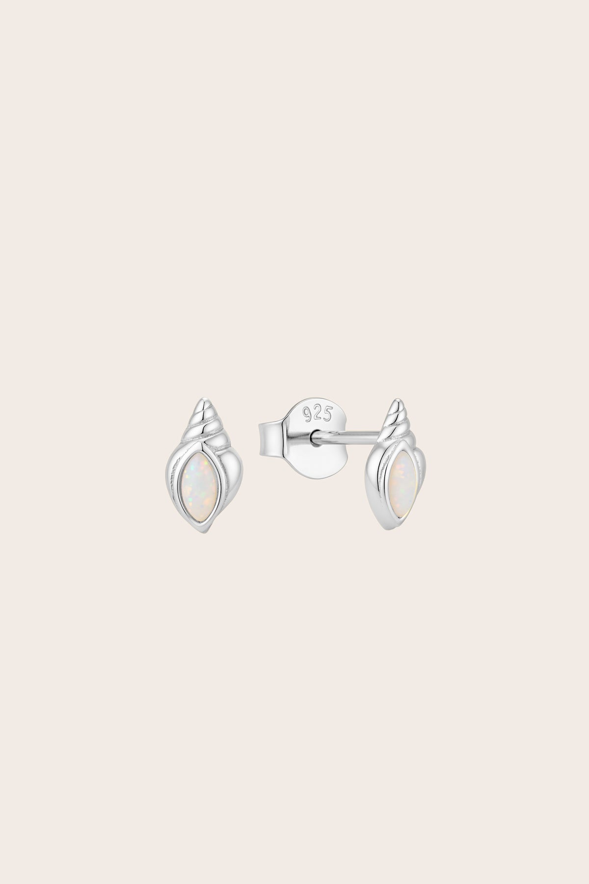 Silver Conch Shell Studs