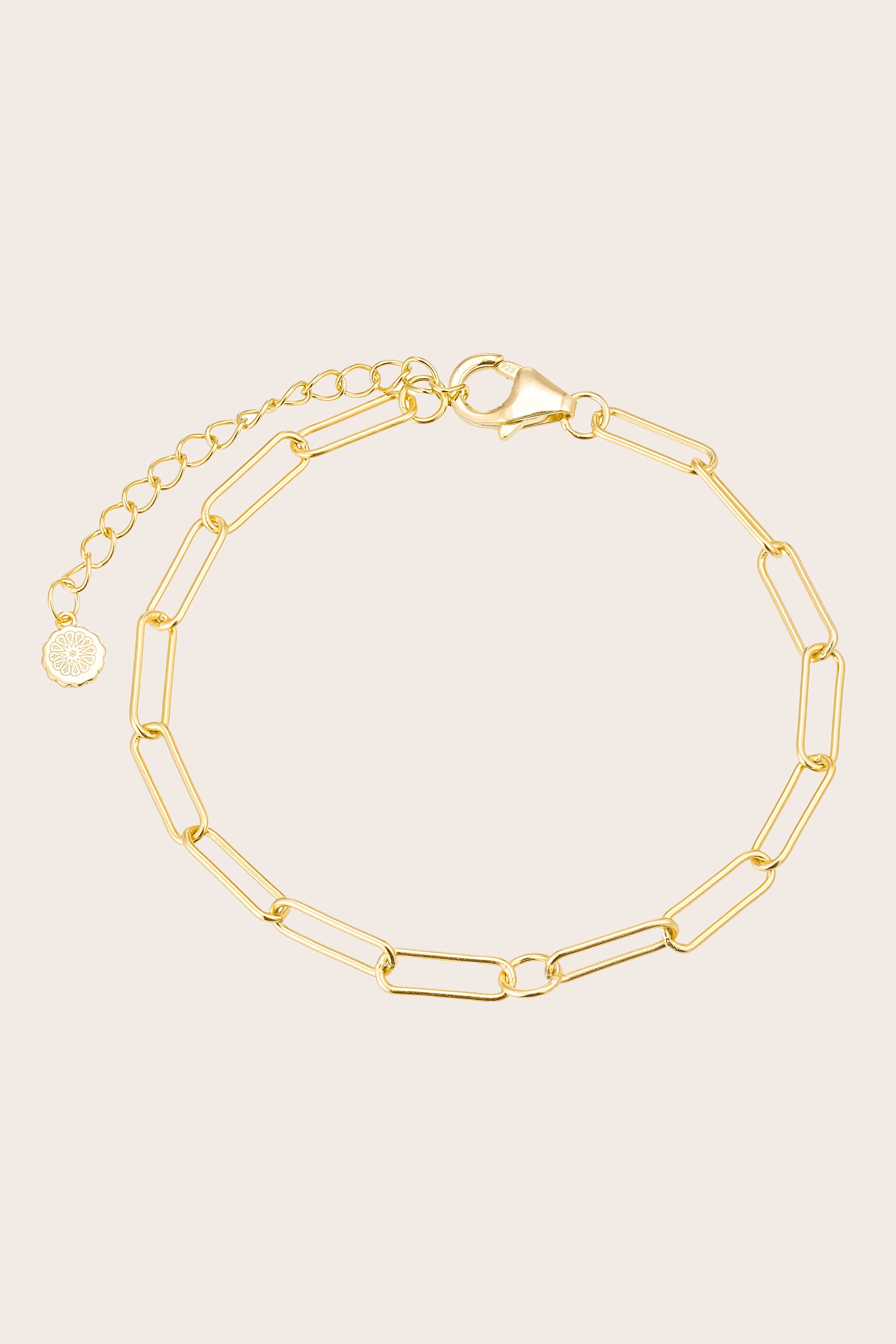 Paperclip Link Bracelet - Gold