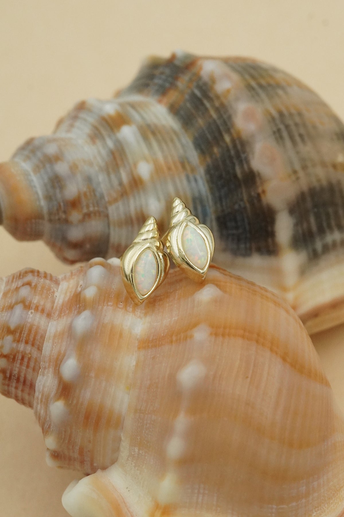Gold Conch Shell Studs