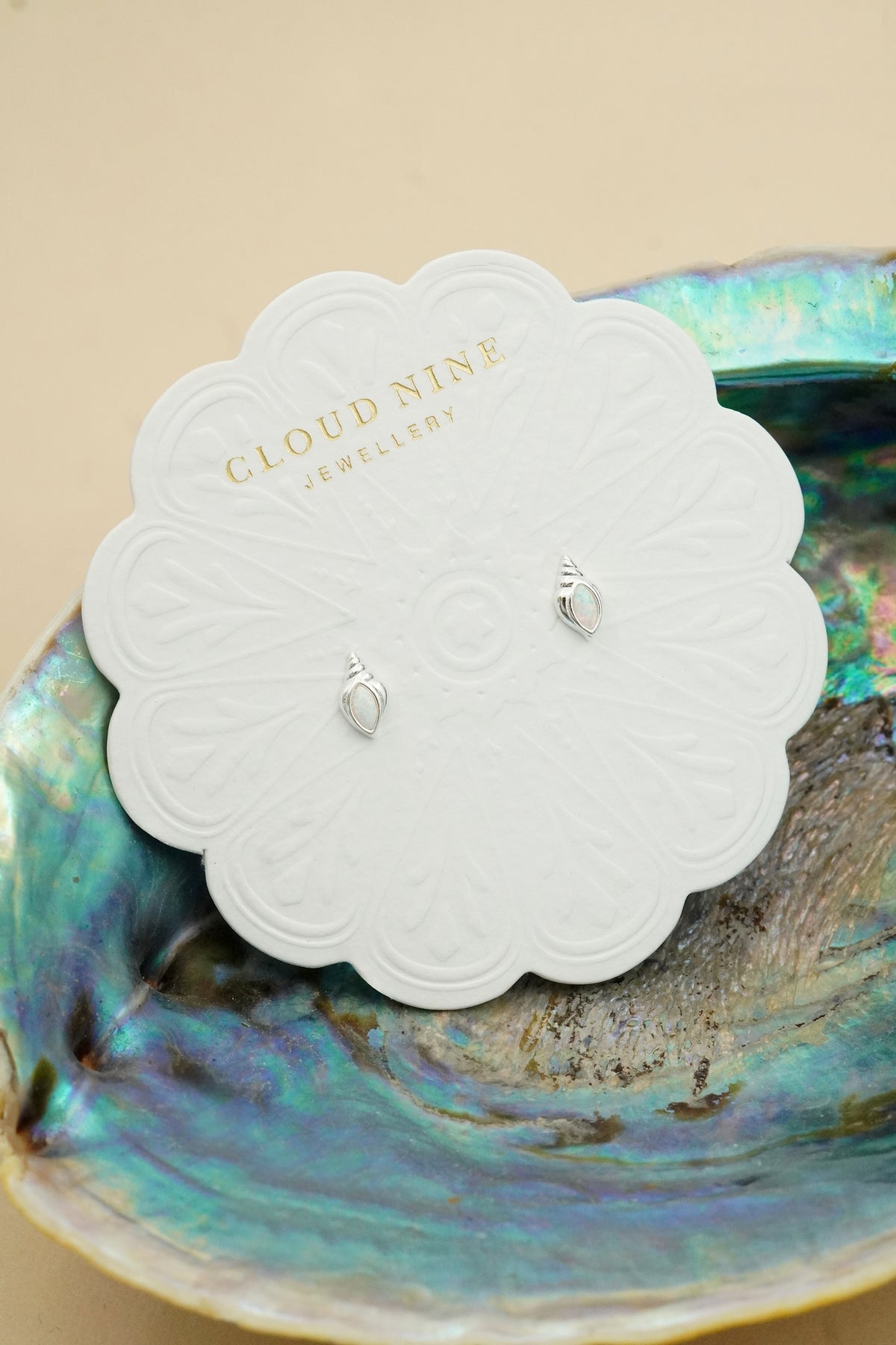 Silver Conch Shell Studs