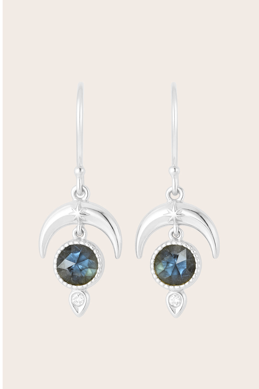 Labradorite Dare to Dream Earrings - Silver