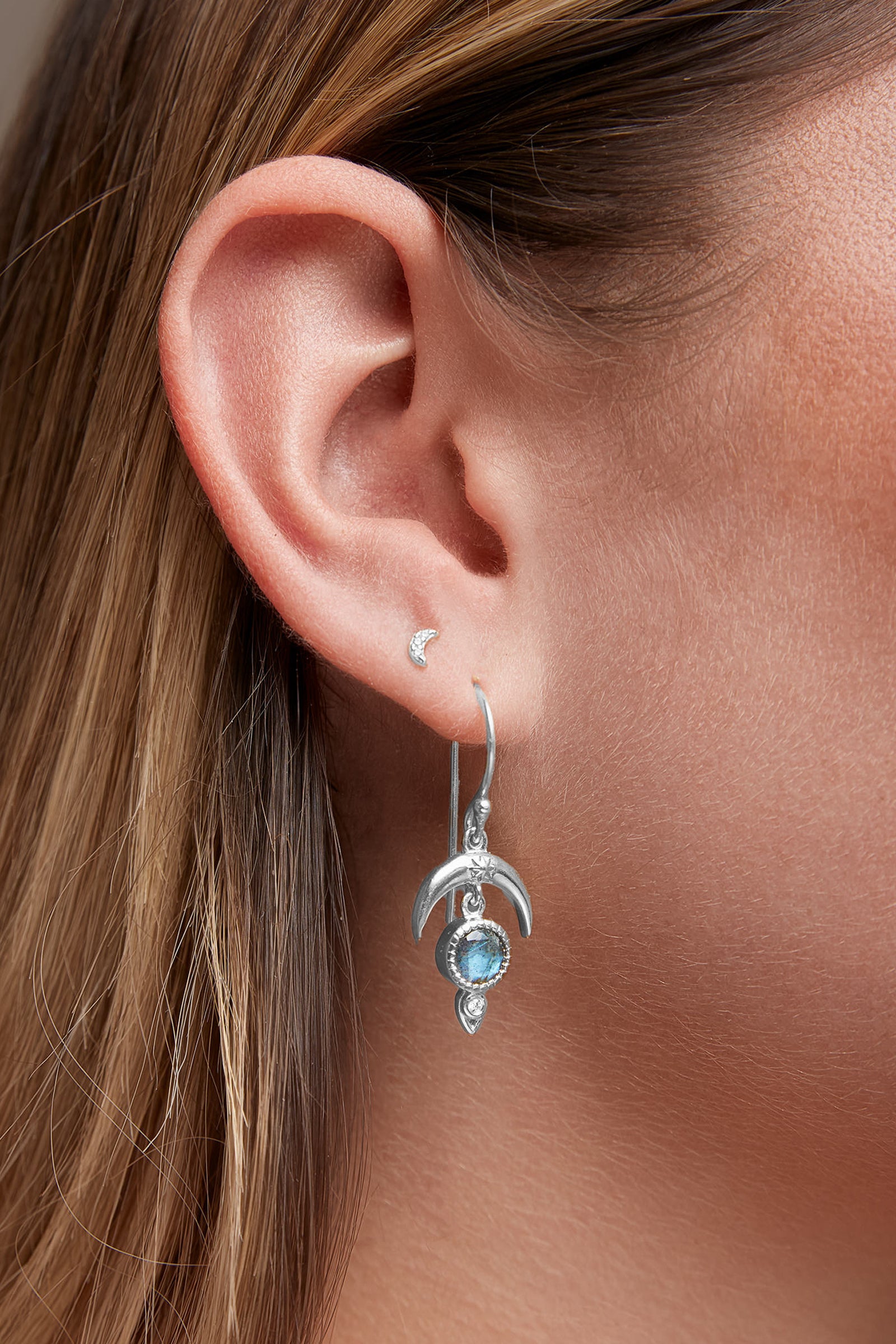 Labradorite Dare to Dream Earrings - Silver