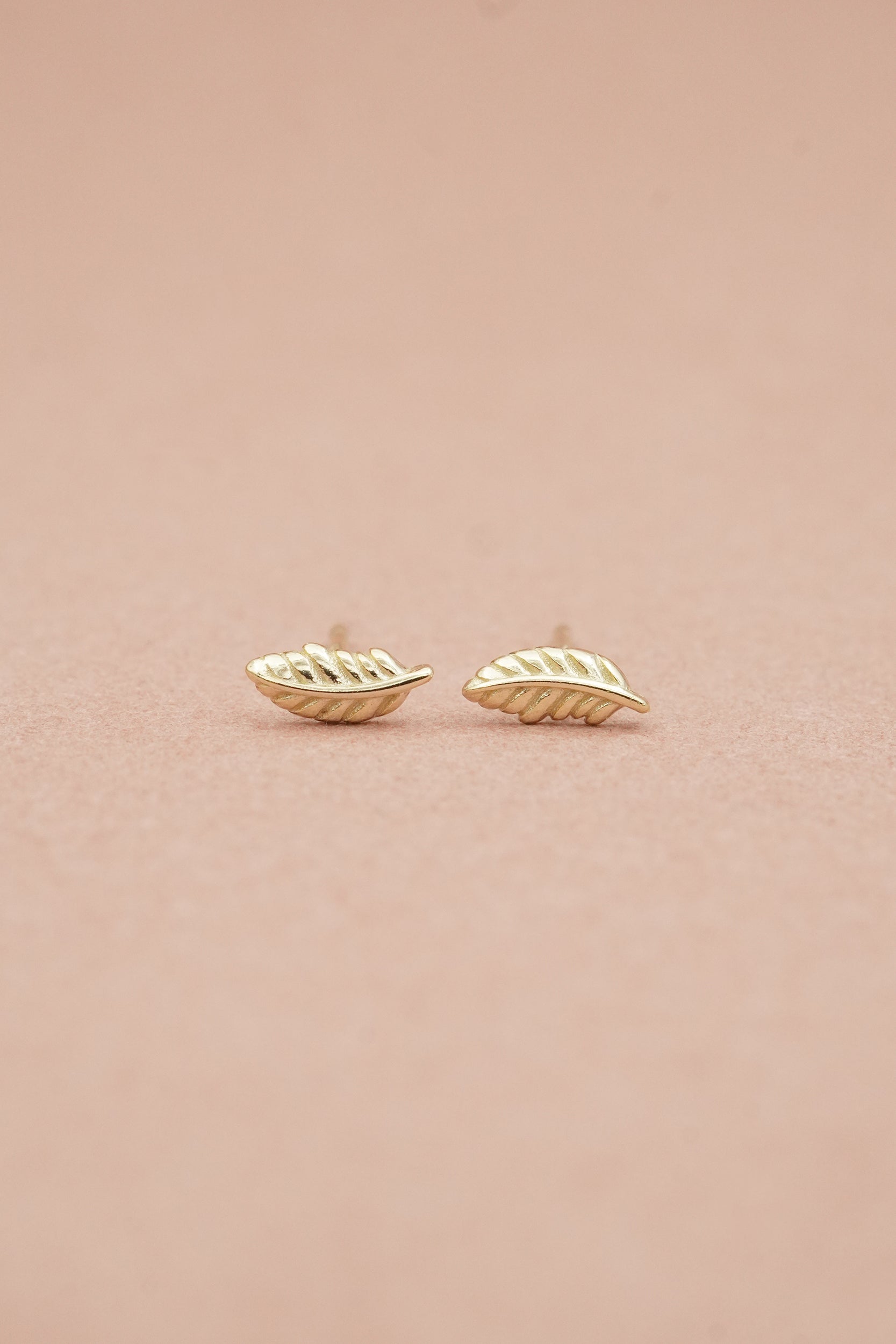 Trust The Path Feather Studs- Gold