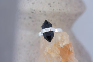 Guardian of the Night Ring - Silver