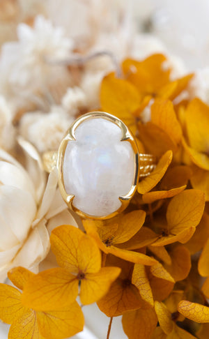 Gold Moonstone ring new zealand