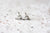 June Pearl Birthstone Jewellery NZ