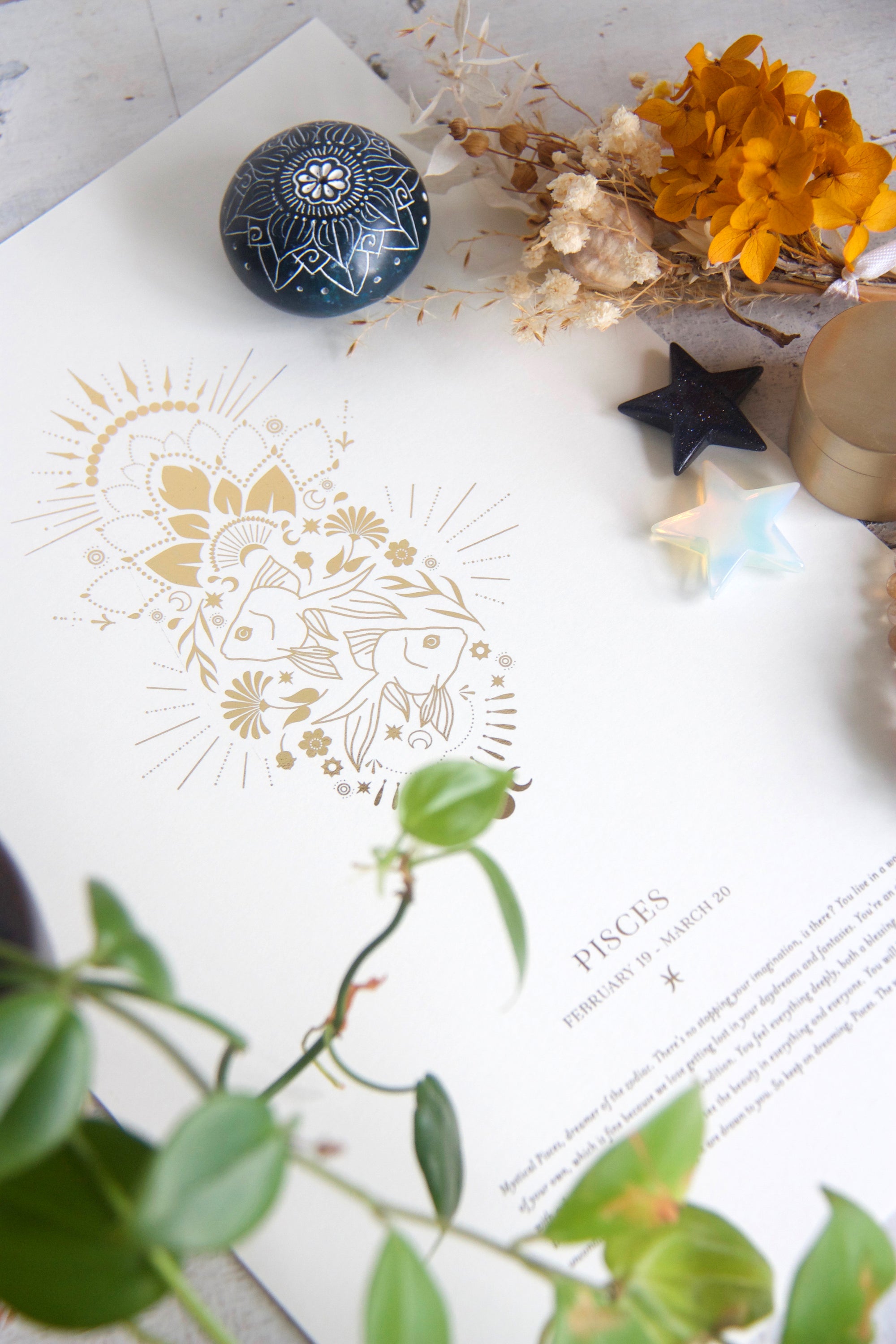 Pisces Zodiac Star Sign Art Print Birthday Gift